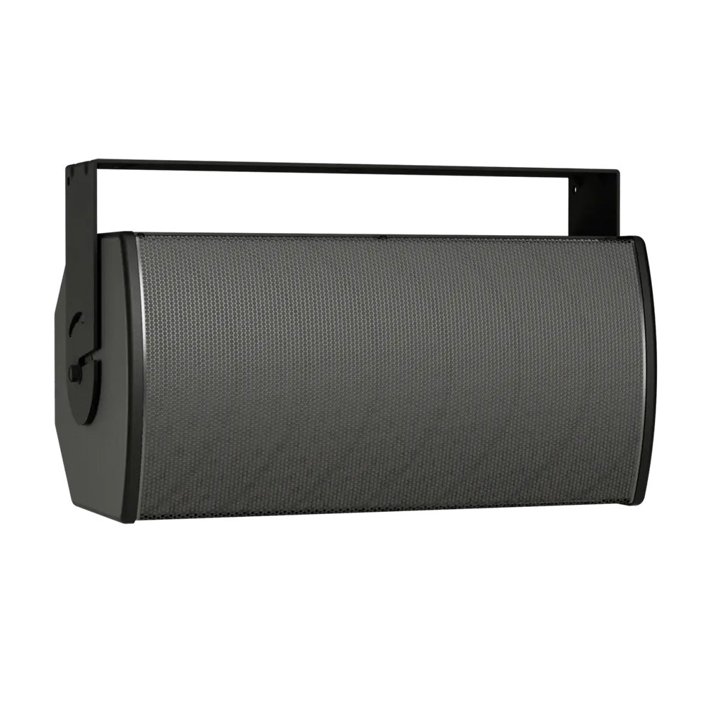 Bose ArenaMatch AMU108-120 - Compact High-Performance Install Loudspeaker (Black)