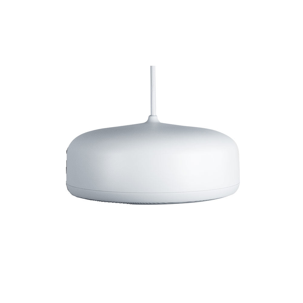 Biamp Desono P6SM - Two-Way 6.5-Inch Pendant Loudspeaker (White)