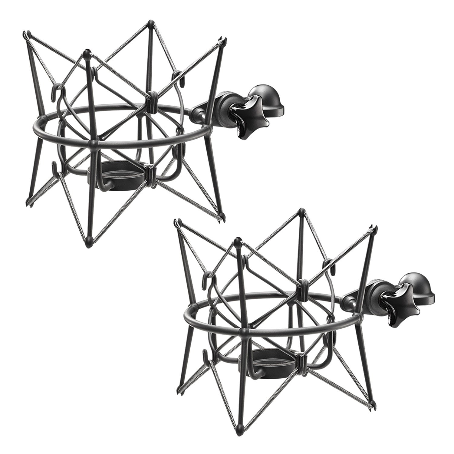 Neumann TLM 170 R MT Factory Matched Stereo Pair Condenser Microphones