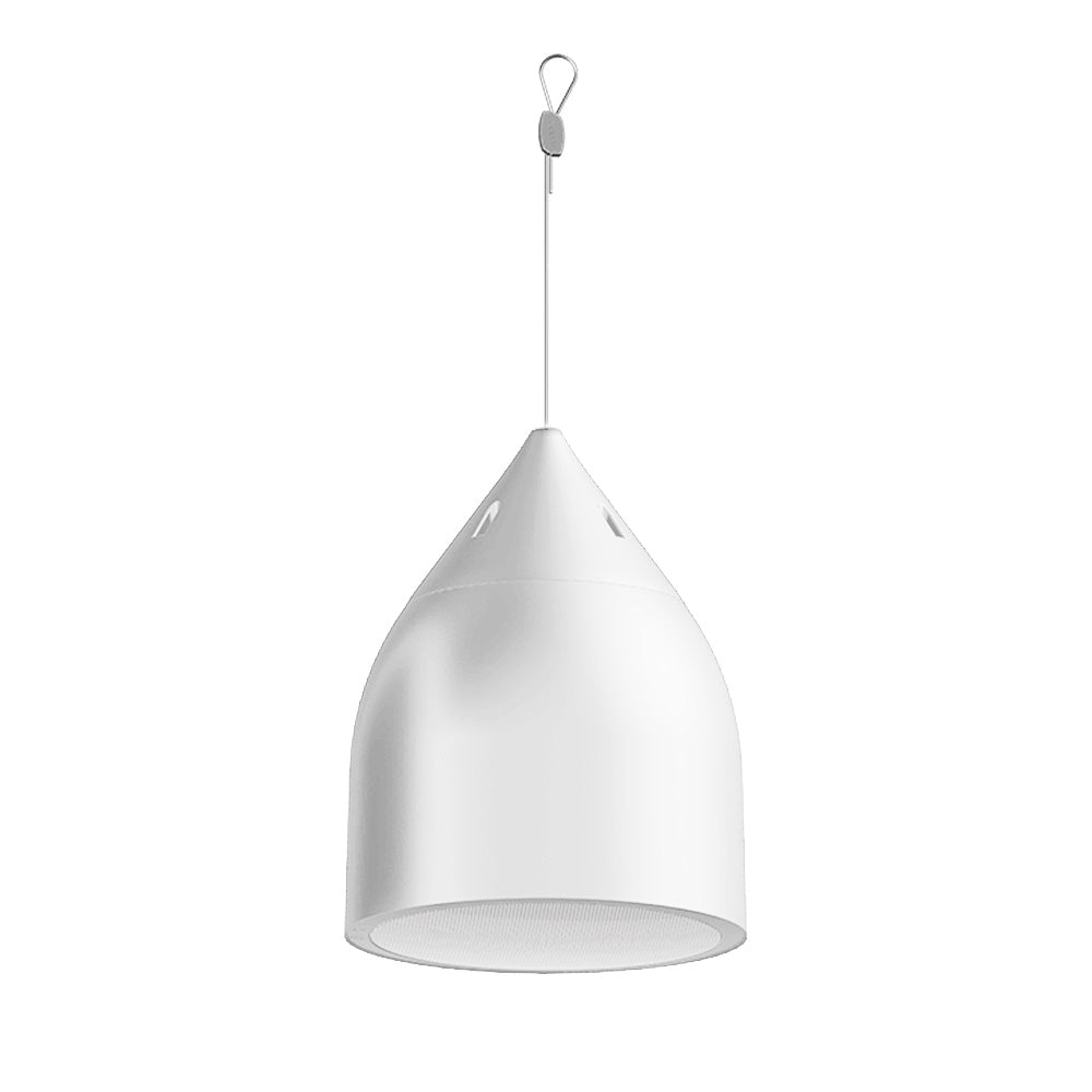 Biamp Desono DP6 - Two-Way 6.5-Inch Pendant Loudspeaker (White)