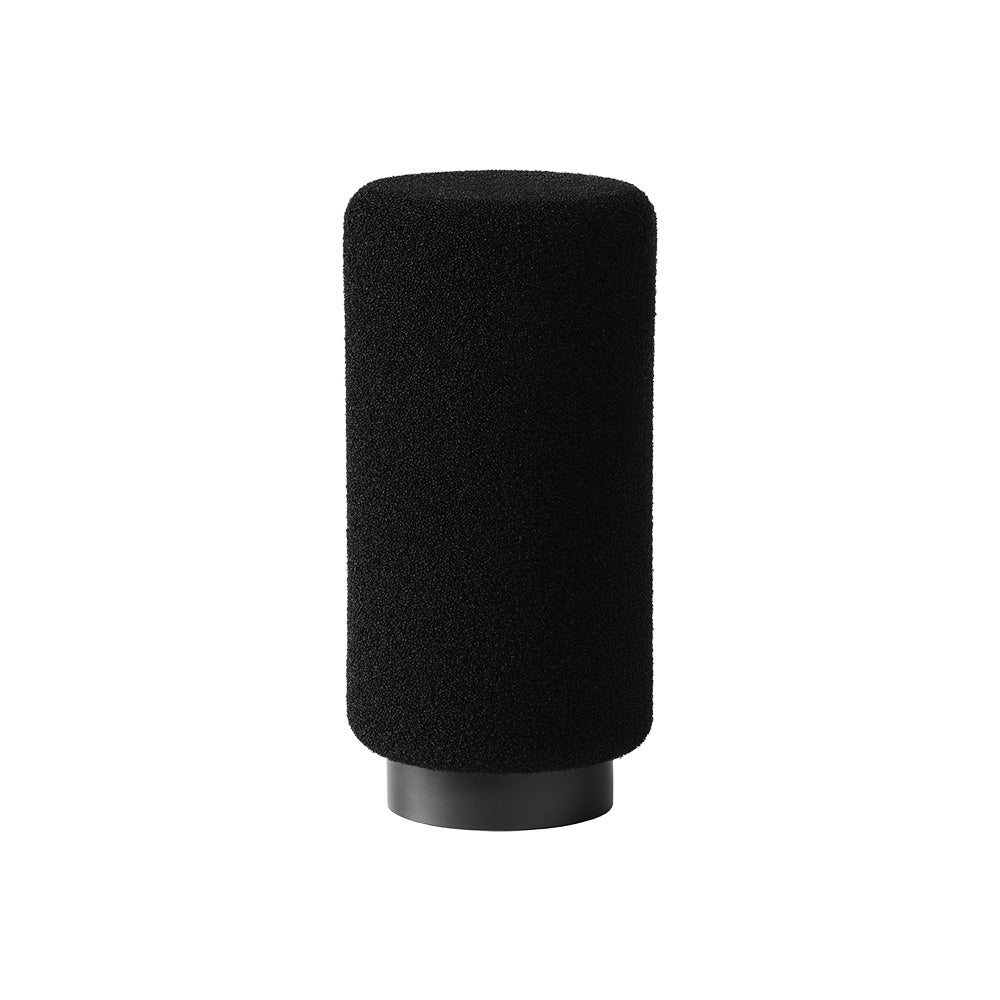 Earthworks ETHOS - Broadcast or Streaming Microphone (Matte Black Finish)