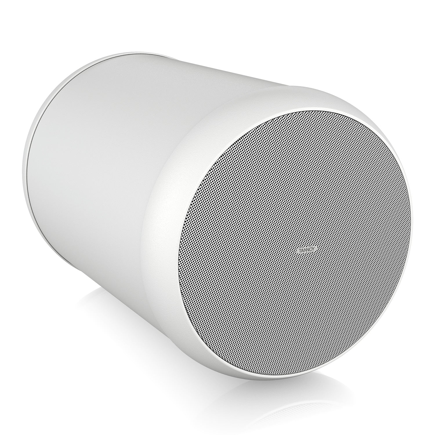 Tannoy OCV 6 - Two-Way 6-Inch Coaxial Pendant Loudspeaker (White)