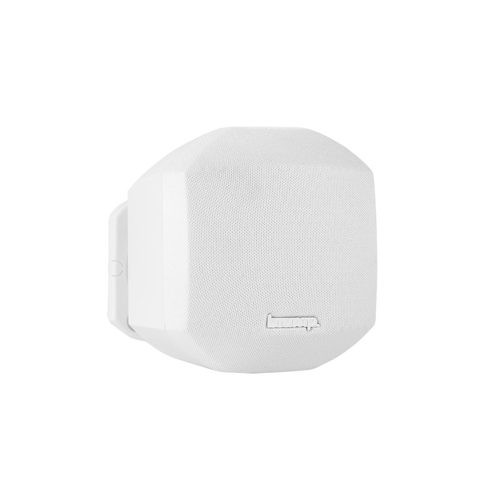 Biamp Desono MASK2 - Compact Full-Range 2.5-Inch Surface Mount Loudspeaker (White)
