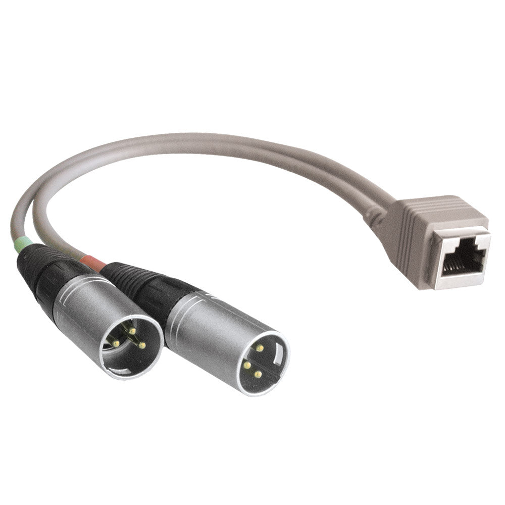 StudioHub ADAPT-XLRMD Dual XLR (Male) to RJ-45 (Female) 8" Adapter