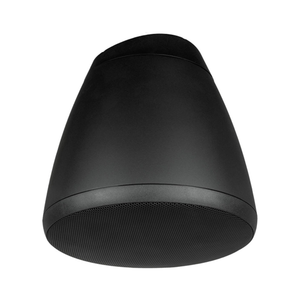 Soundtube IPD-RS62-EZ-BK - Coaxial 6.5-Inch Dante-Enabled Hanging Loudspeaker (Black)