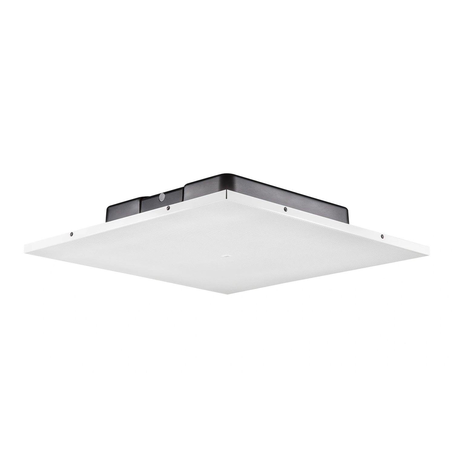 JBL LCT 81C/T - Low-Profile 2x2 Foot Ceiling Tile Loudspeaker (White)