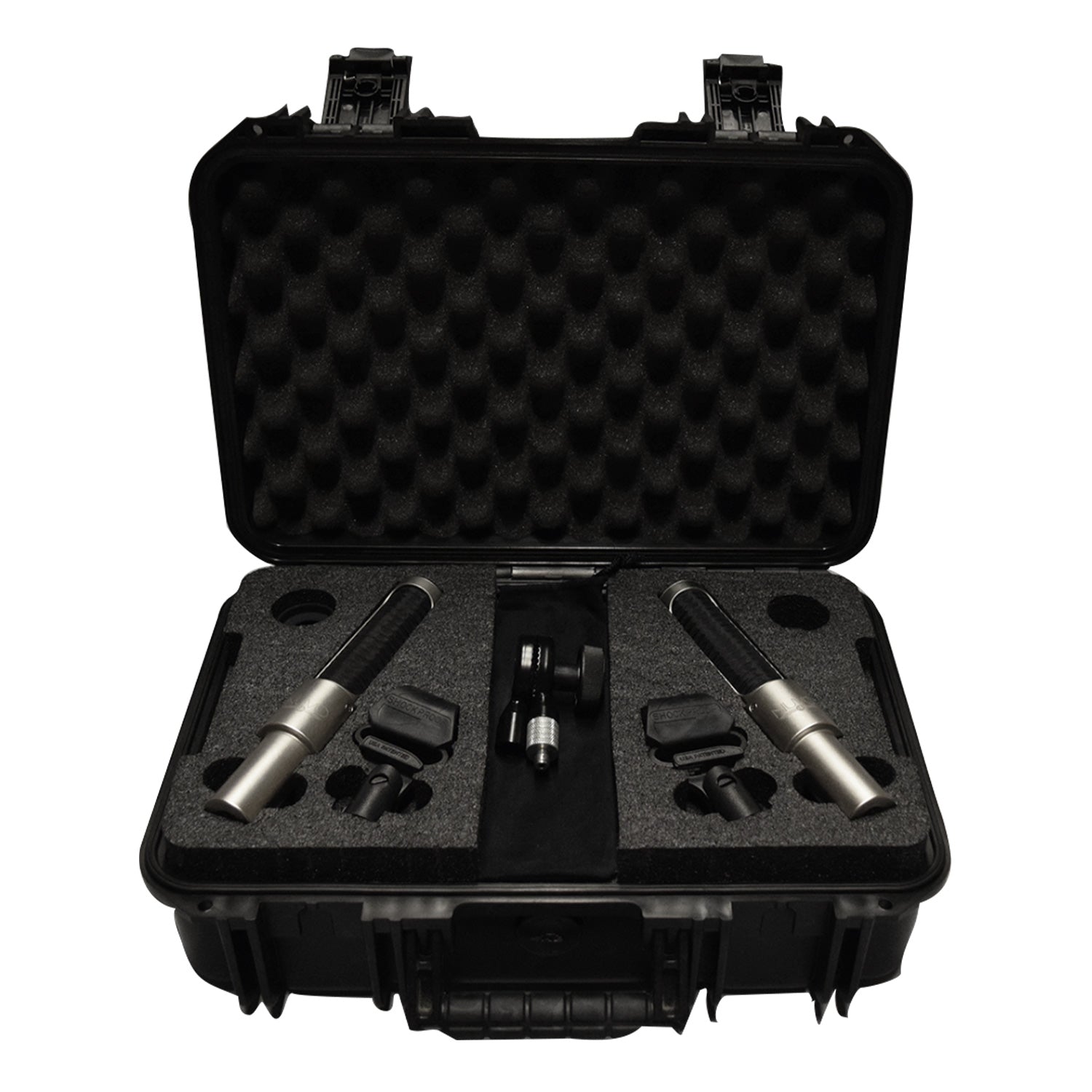 AEA NUVO N13 Stereo Kit - Stereo Set of Mid-Field Ribbon Microphones with Case and Mount