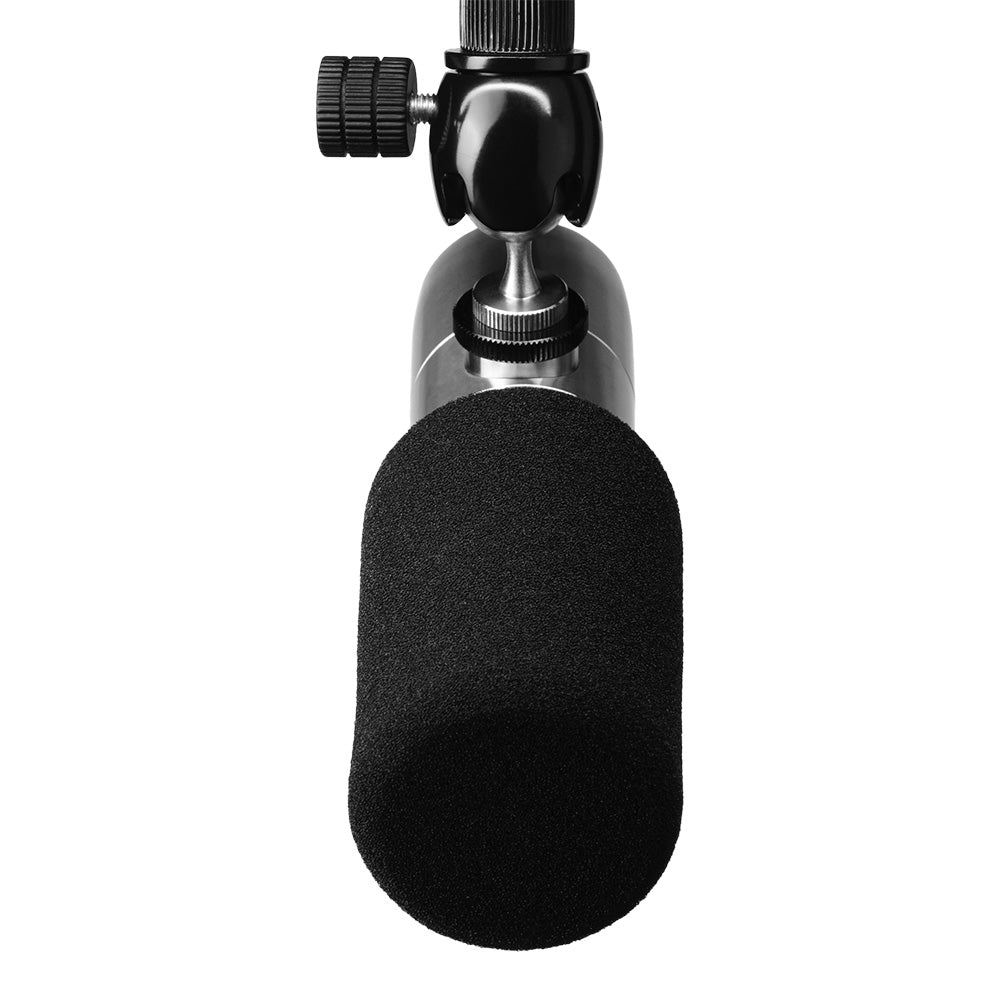 Earthworks ETHOS - Broadcast or Streaming Microphone (Stainless Steel Finish)
