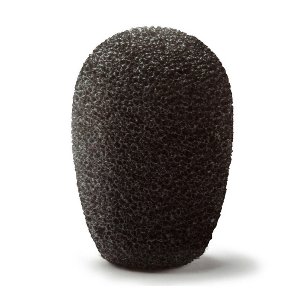 Point Source Audio CM-WSN-5 - Foam Windscreen for CM-i5