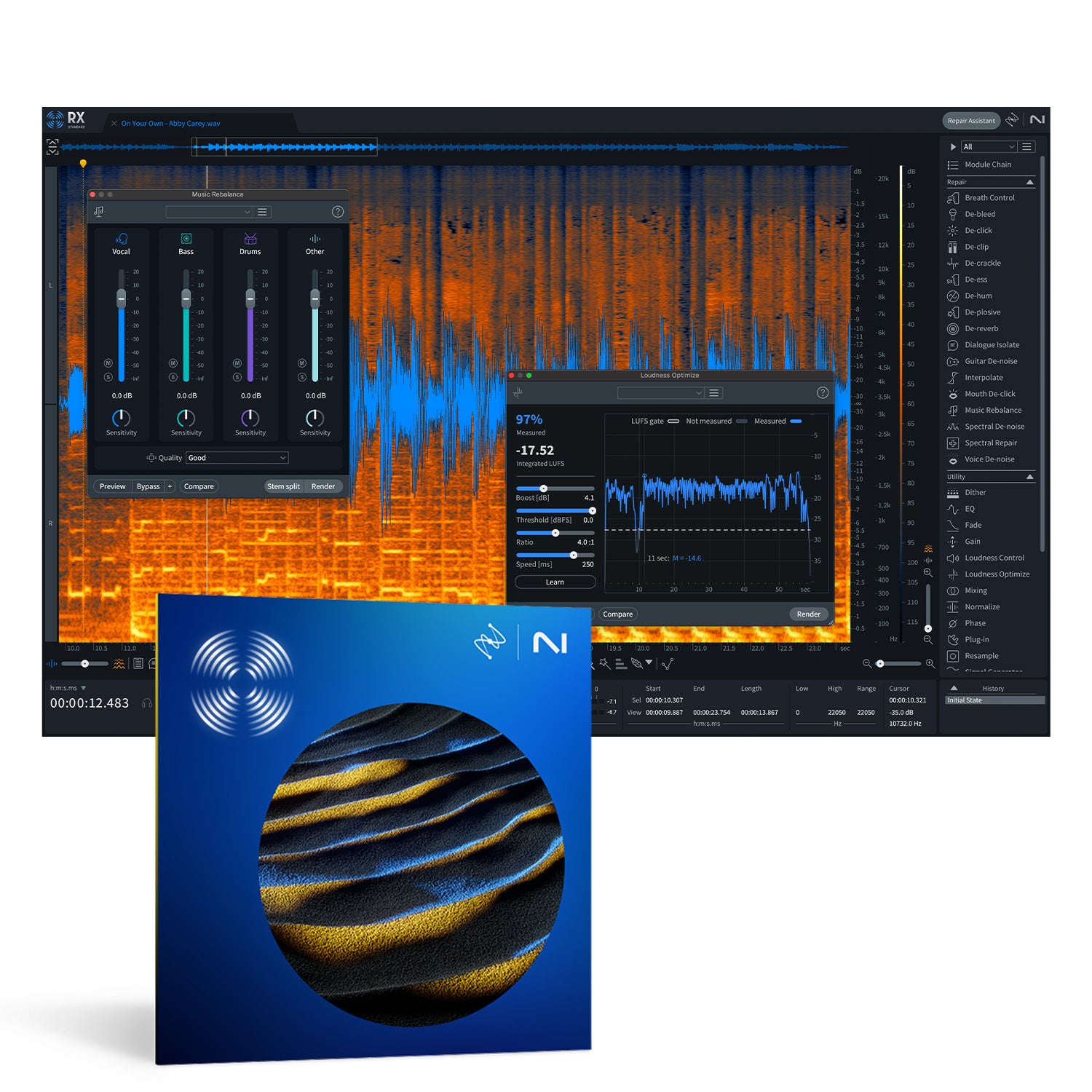 iZotope RX 11 Standard - Audio Repair and Enhancement Software (Upgrade)