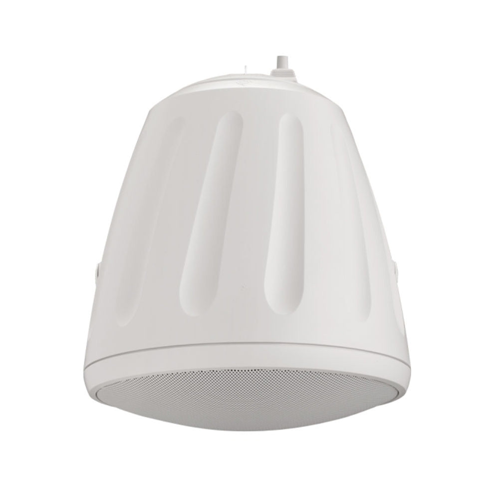 Soundtube RS1001i-II-T-WH - 10-Inch Open-Ceiling Hanging Subwoofer (White)