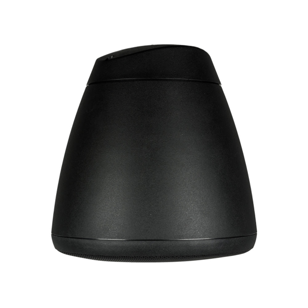 Soundtube RS62-EZ-BK - Two-Way 6.5-Inch Hanging Loudspeaker (Black)