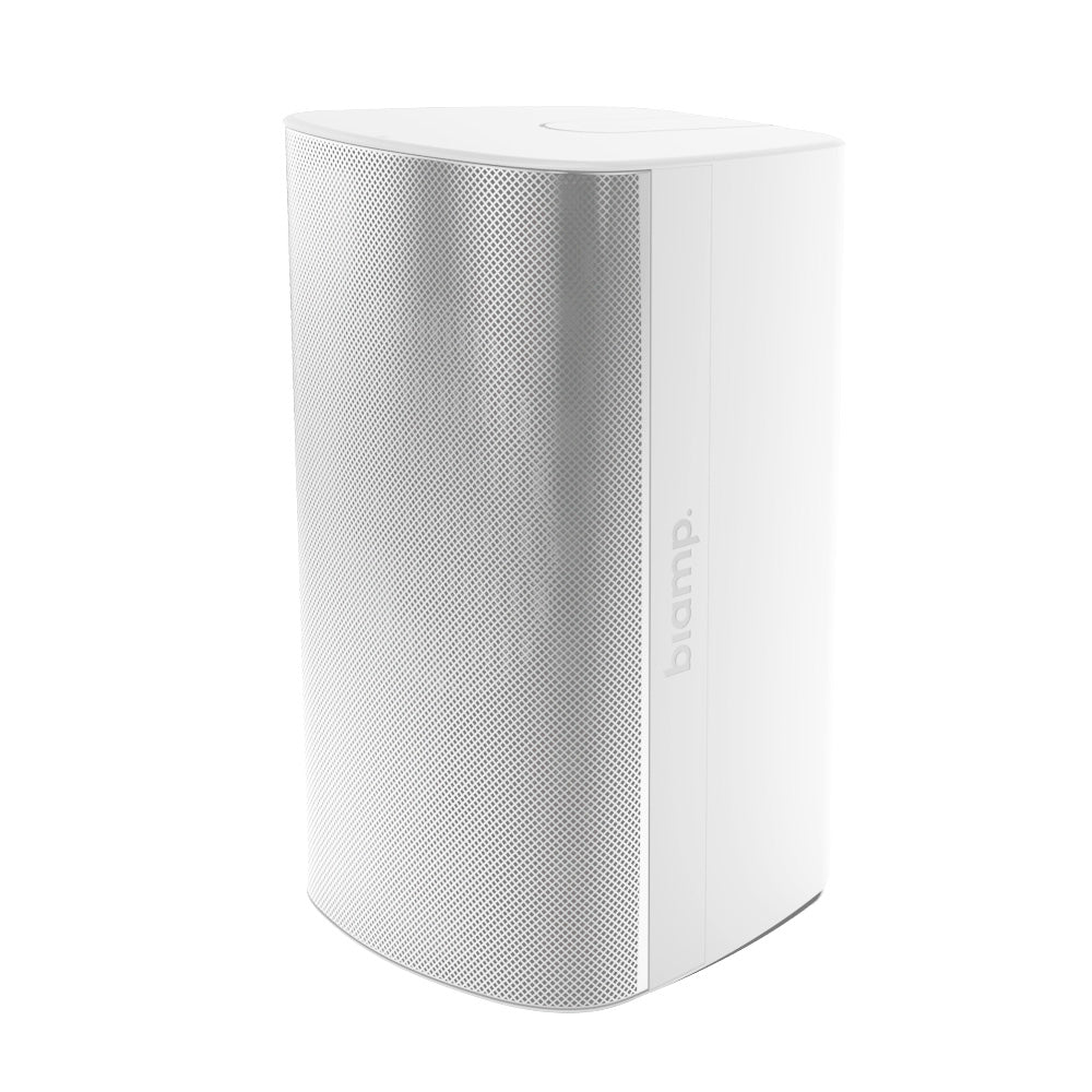 Biamp Desono EX-S10 - Two-Way 10-Inch Surface Mount Loudspeaker (White with Pan-Tilt Bracket)