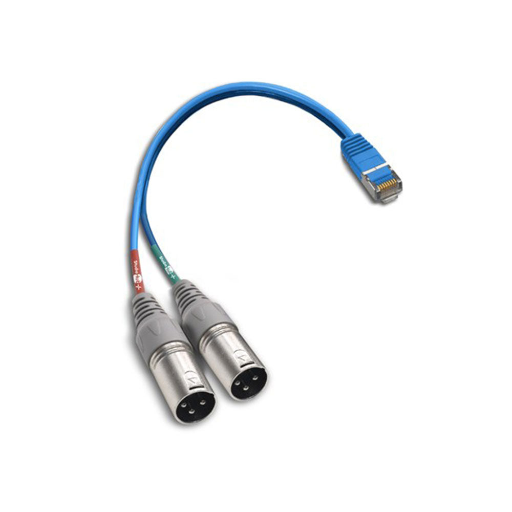StudioHub ADAPTM-XLRMD - RJ45 to Dual XLR Male Adaptor Cable (6 Inch)