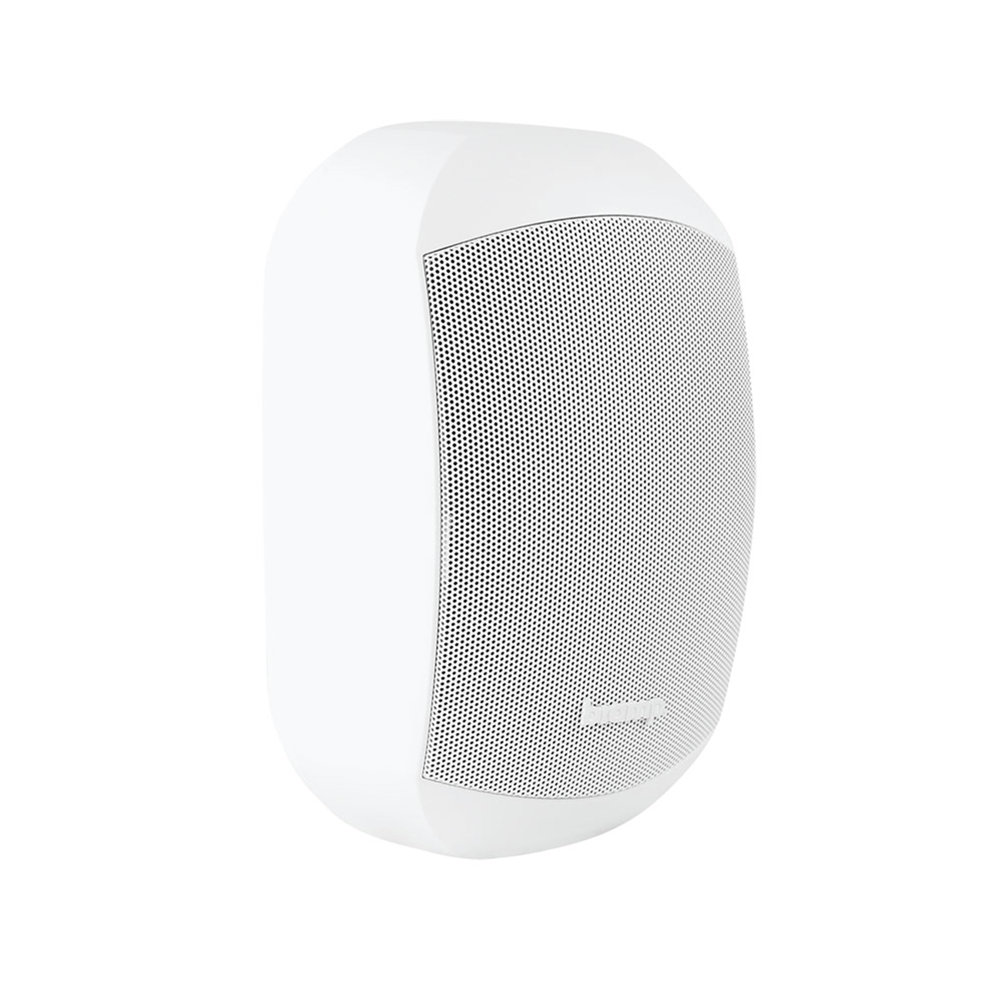 Biamp Desono MASK6C - Two-Way 6.5-Inch Surface Mount Loudspeaker (White)