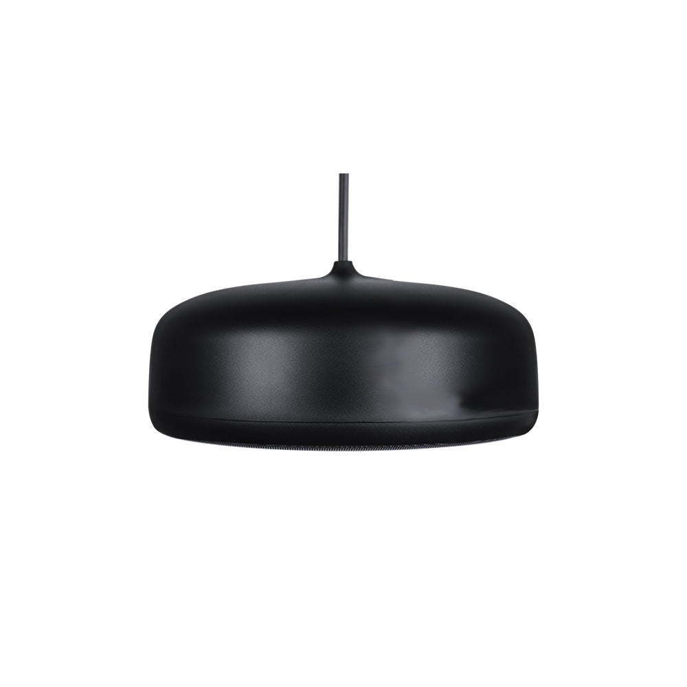 Biamp Desono P6SM - Two-Way 6.5-Inch Pendant Loudspeaker (Black)