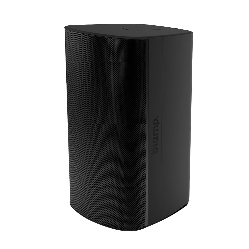 Biamp Desono EX-S10 - Two-Way 10-Inch Surface Mount Loudspeaker (Black with U-Bracket)