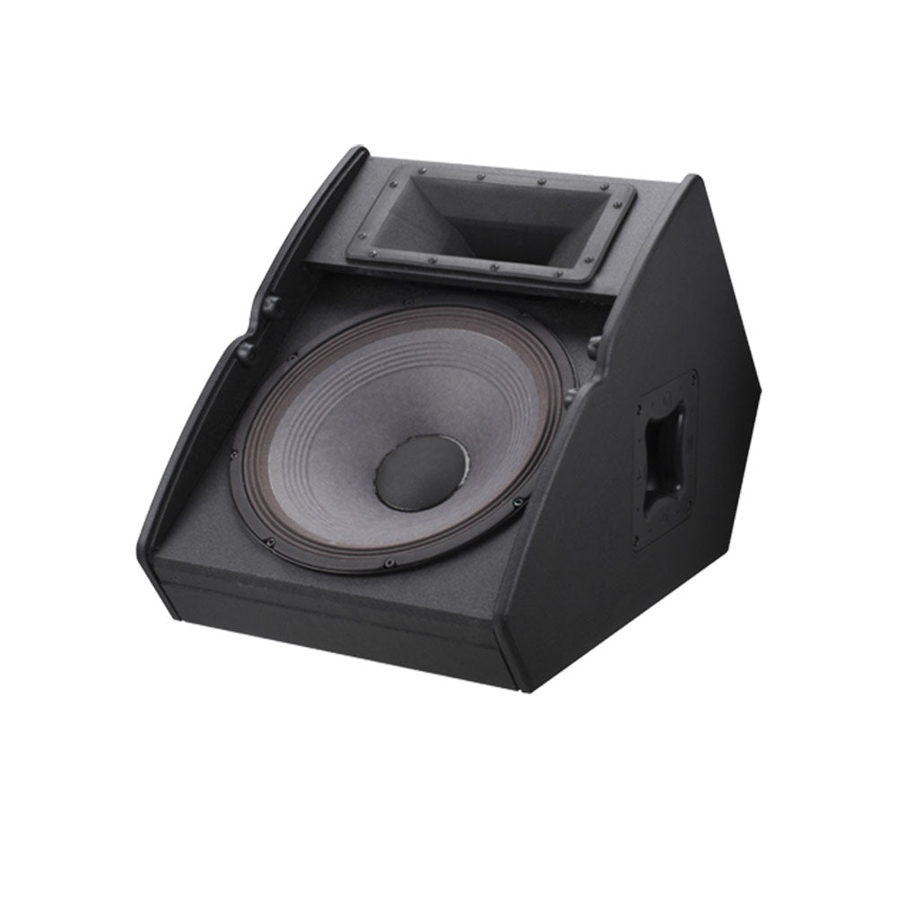 Electro-Voice TX1152FM - Two-Way Passive 15-Inch Floor Monitor Speaker