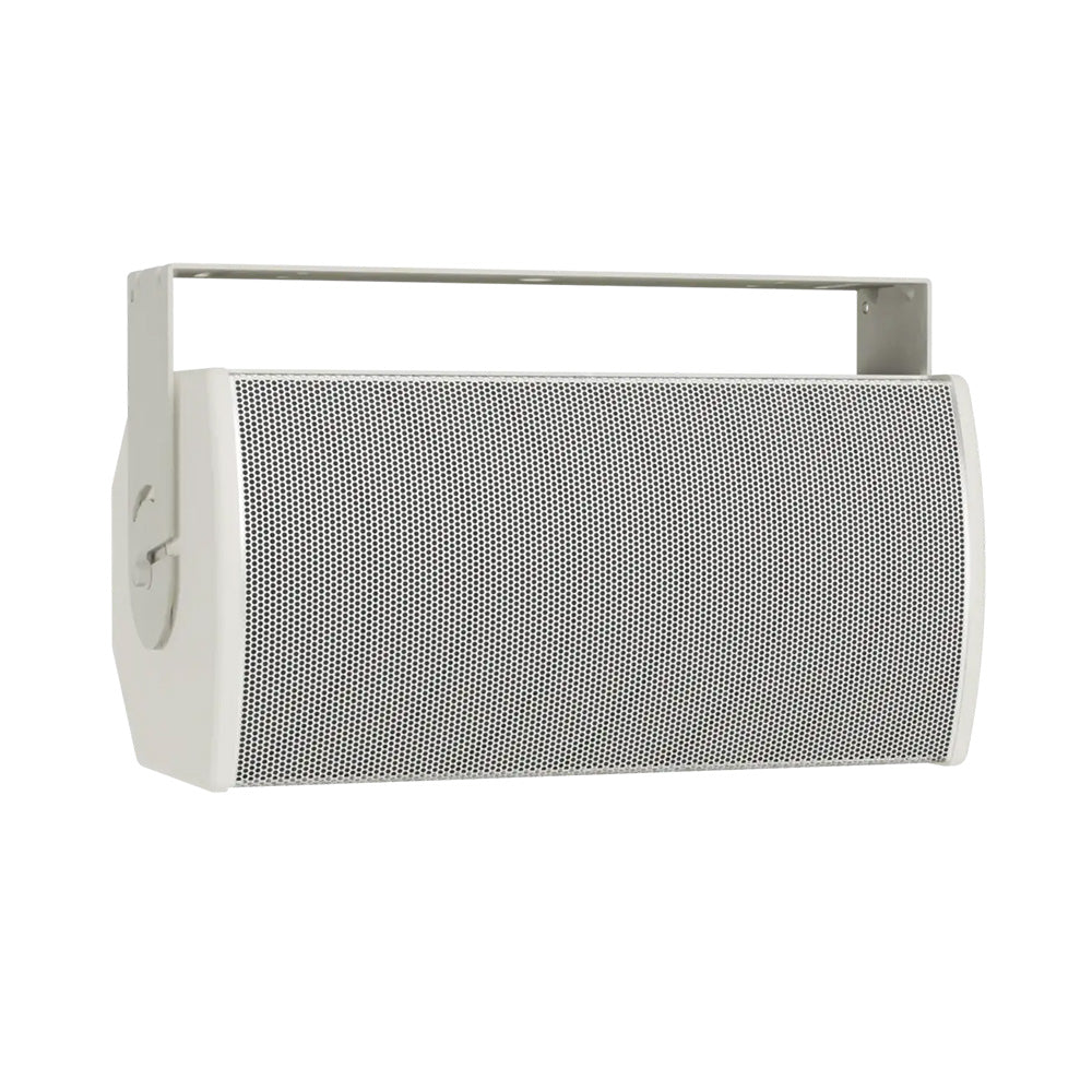Bose ArenaMatch AMU108-120 - Compact High-Performance Install Loudspeaker (White)