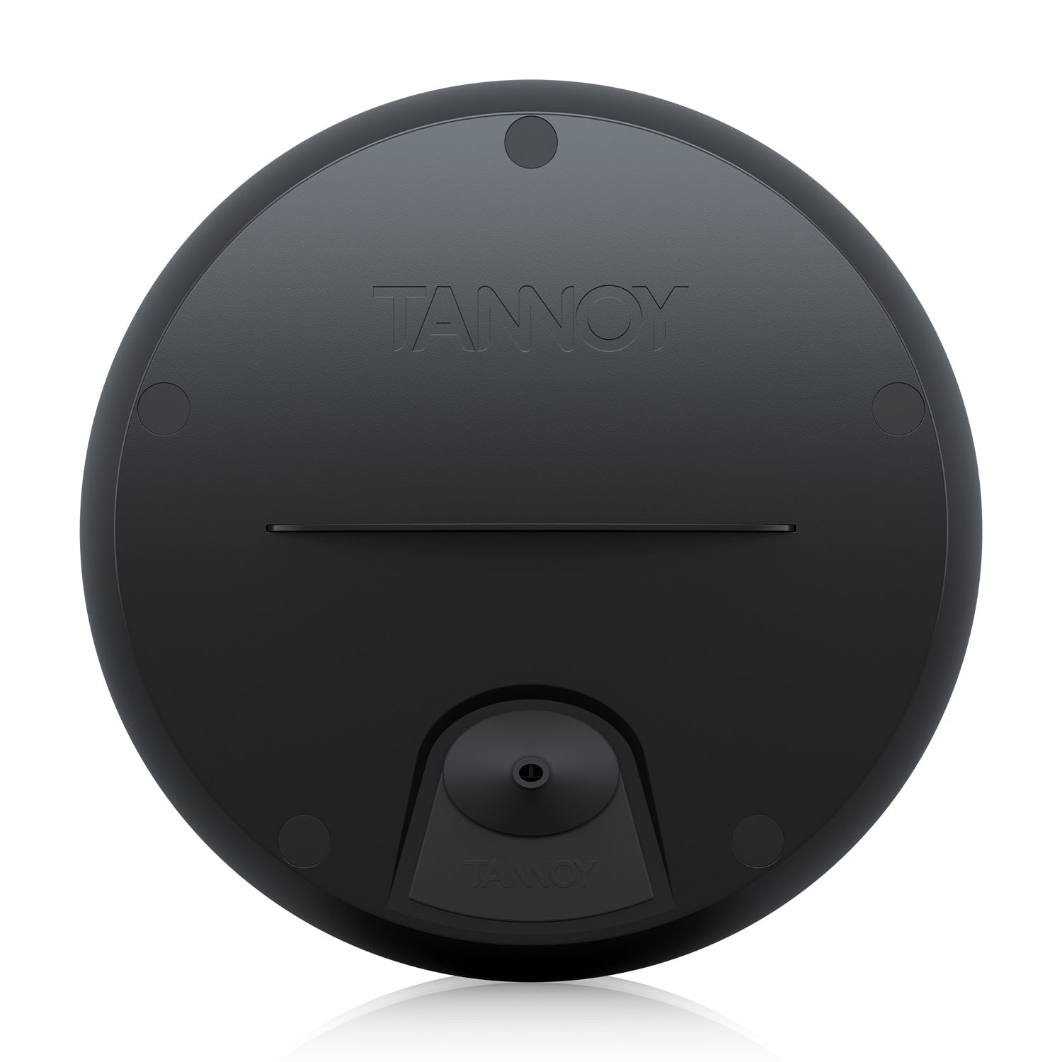 Tannoy OCV 8 - Two-Way 8-Inch Coaxial Pendant Loudspeaker (Black)