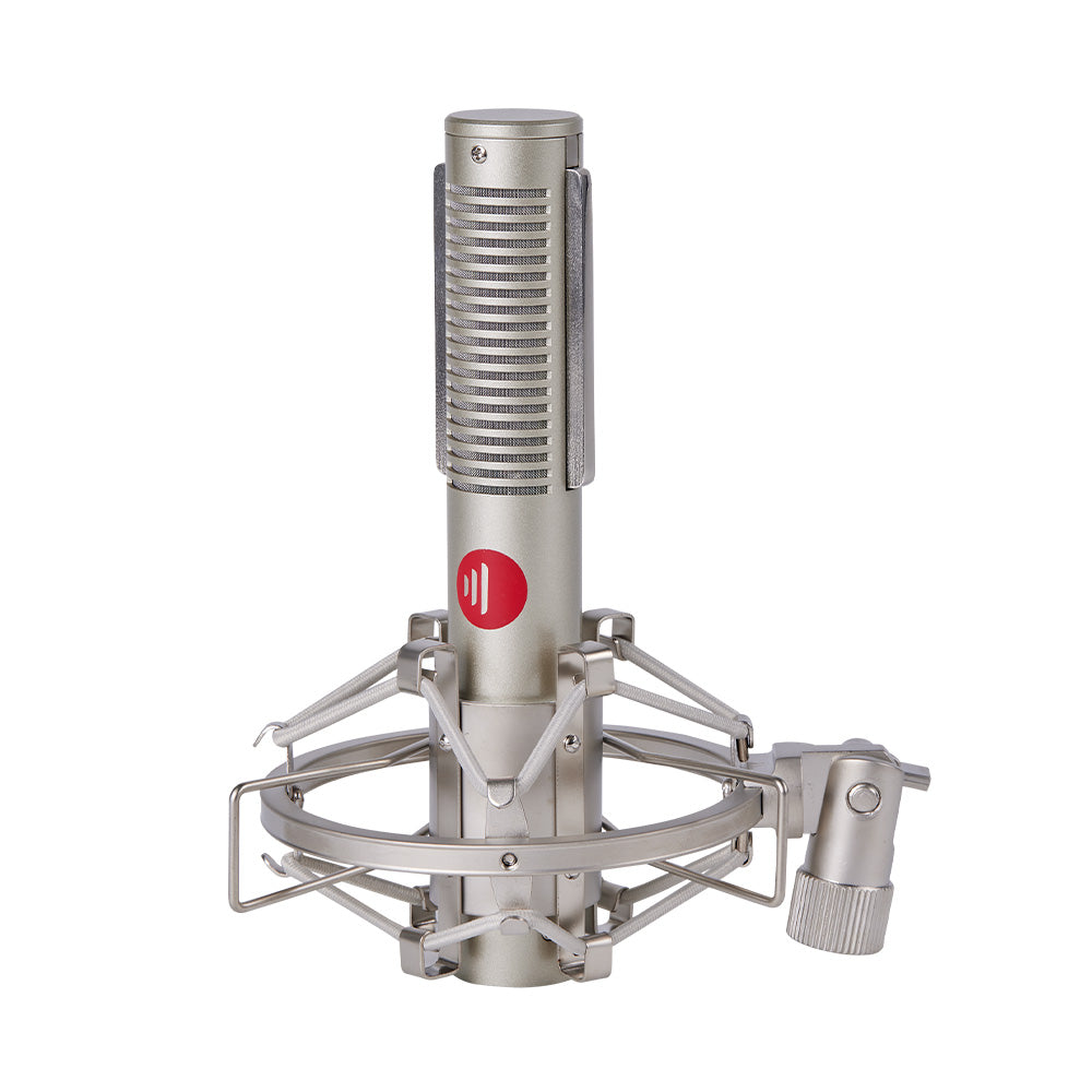 Direct Sound DS-R5 - Dynamic Ribbon Microphone