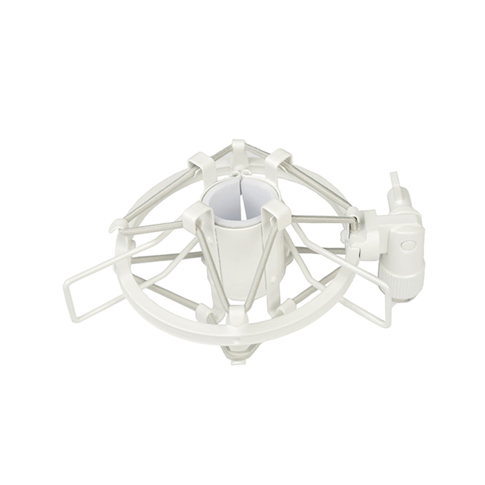 Direct Sound DS-65 - Large Diaphragm Condenser Microphone