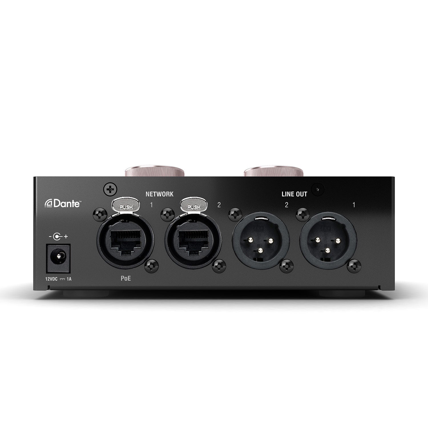 Focusrite Rednet AM2 Stereo Dante Headphone Amplifier and Output Interface