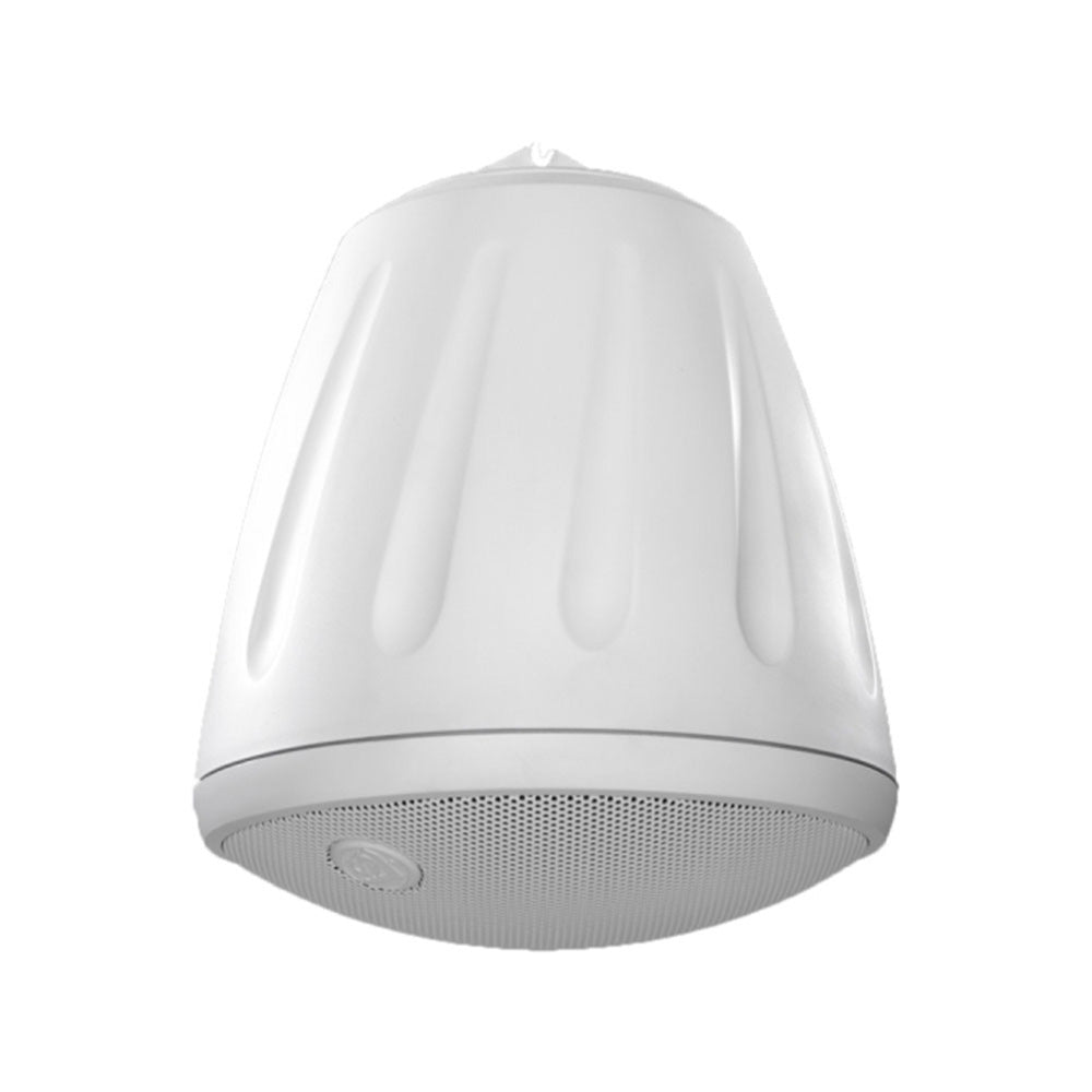 Soundtube RS1001i-II-T-WH - 10-Inch Open-Ceiling Hanging Subwoofer (White)