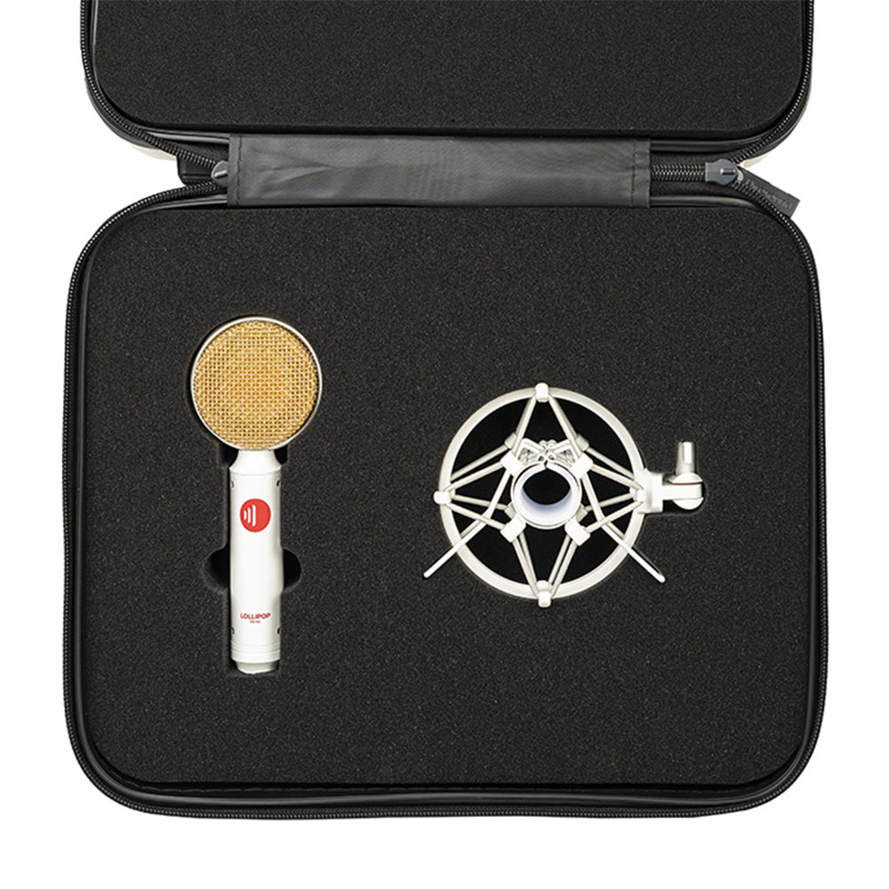 Direct Sound DS-65 - Large Diaphragm Condenser Microphone