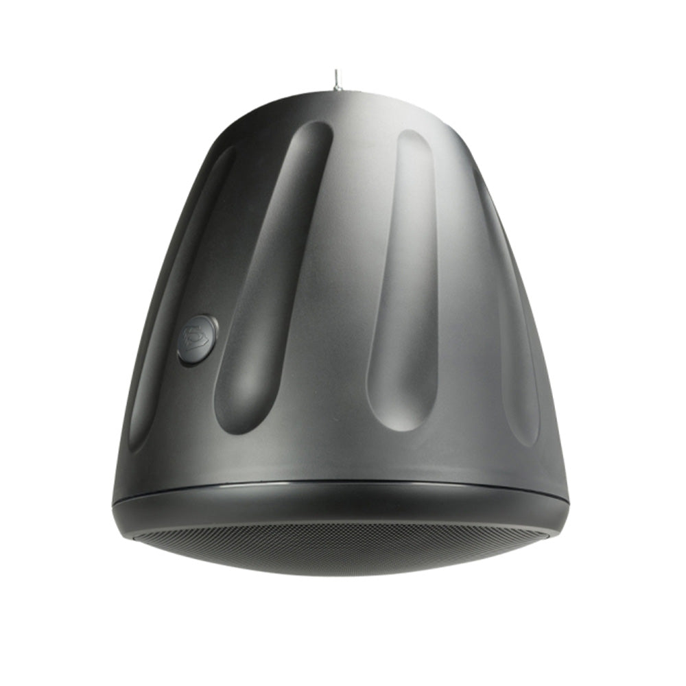 Soundtube HP129A-BK - Two-Way 12-Inch Hanging Loudspeaker with Transformer (Black)