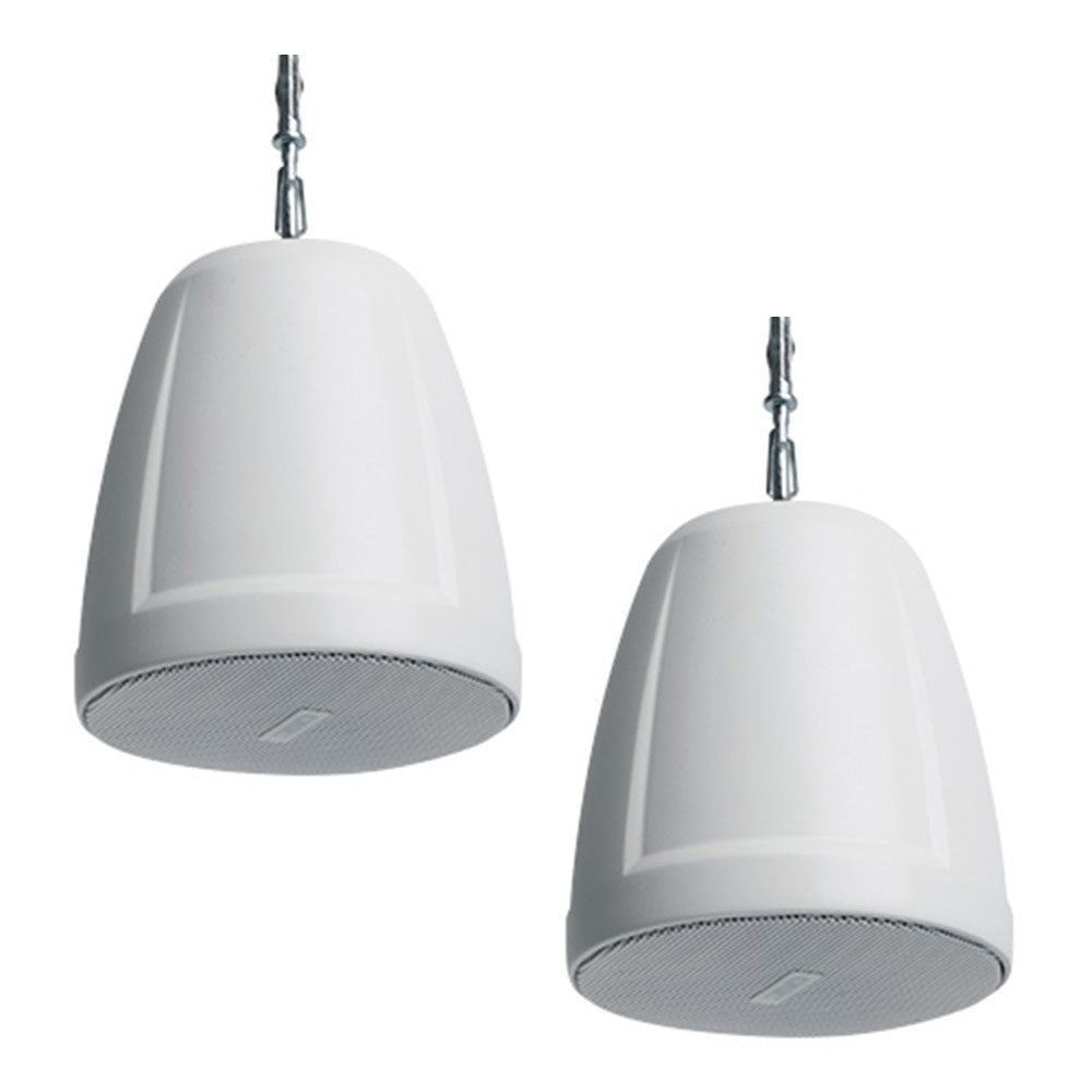 QSC AD-P SAT AcousticDesign Series Satellite Pendant Speaker (White)