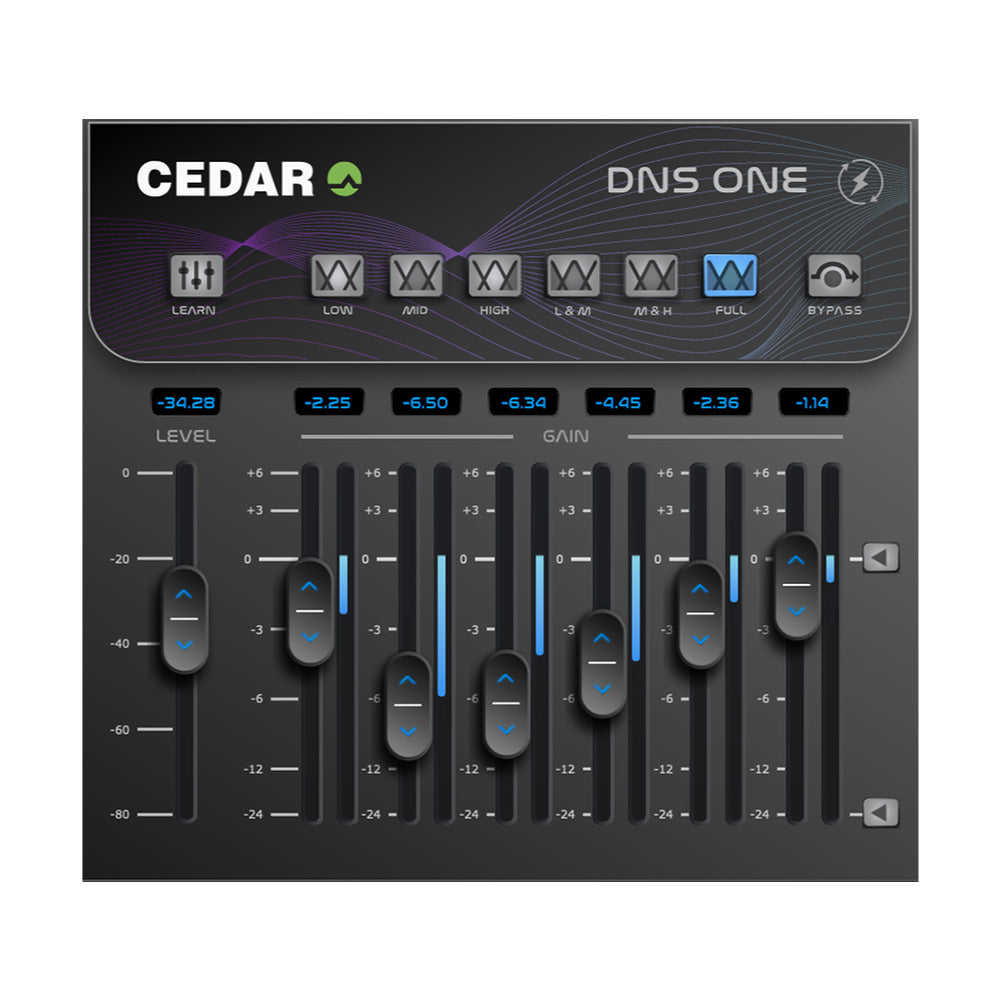 CEDAR Audio DNS One - Noise Reduction Plugin (VST/AU/AAX)