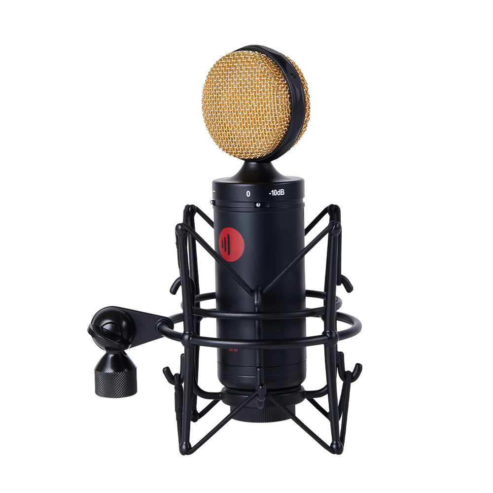 Direct Sound DS-60 - Large Diaphragm Condenser Microphone