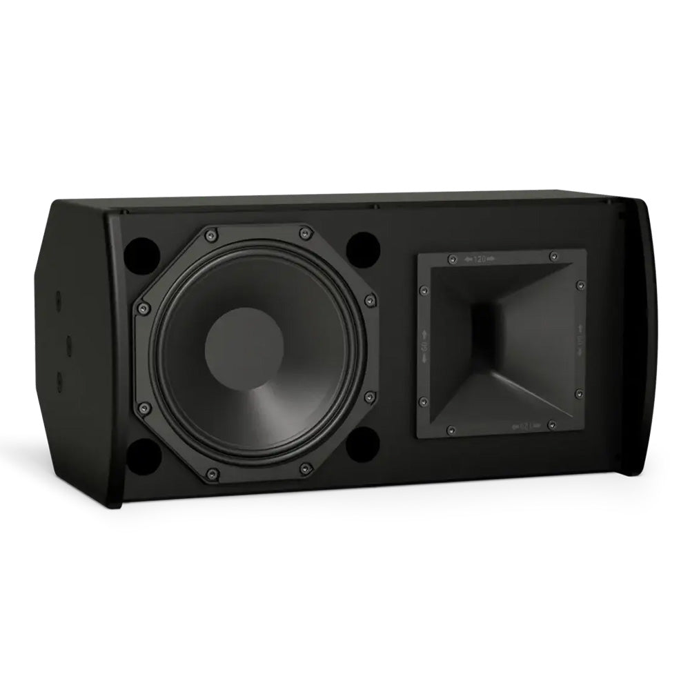 Bose ArenaMatch AMU108-120 - Compact High-Performance Install Loudspeaker (Black)