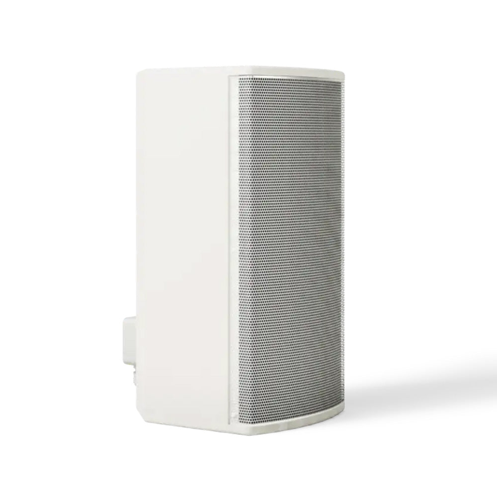 Bose ArenaMatch AMU108-120 - Compact High-Performance Install Loudspeaker (White)