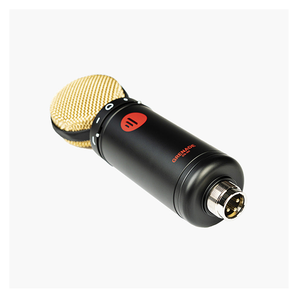 Direct Sound DS-60 - Large Diaphragm Condenser Microphone