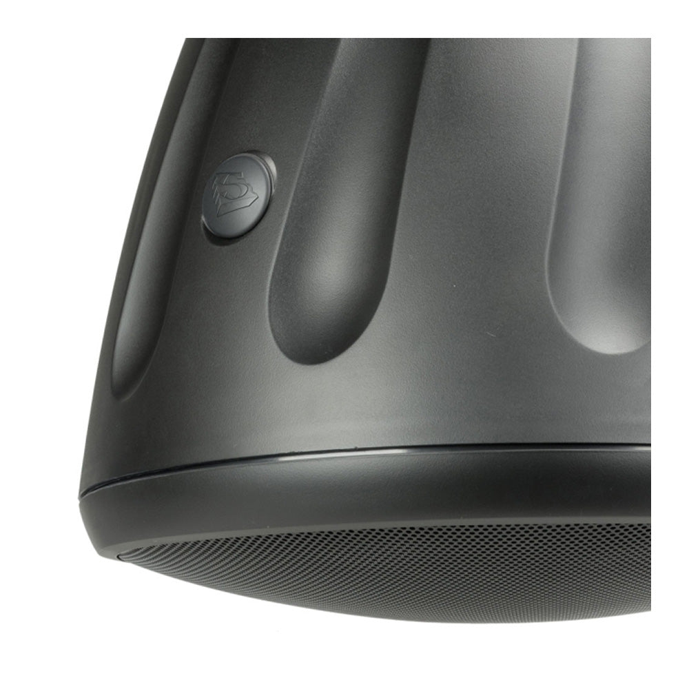 Soundtube HP129A-BK - Two-Way 12-Inch Hanging Loudspeaker with Transformer (Black)
