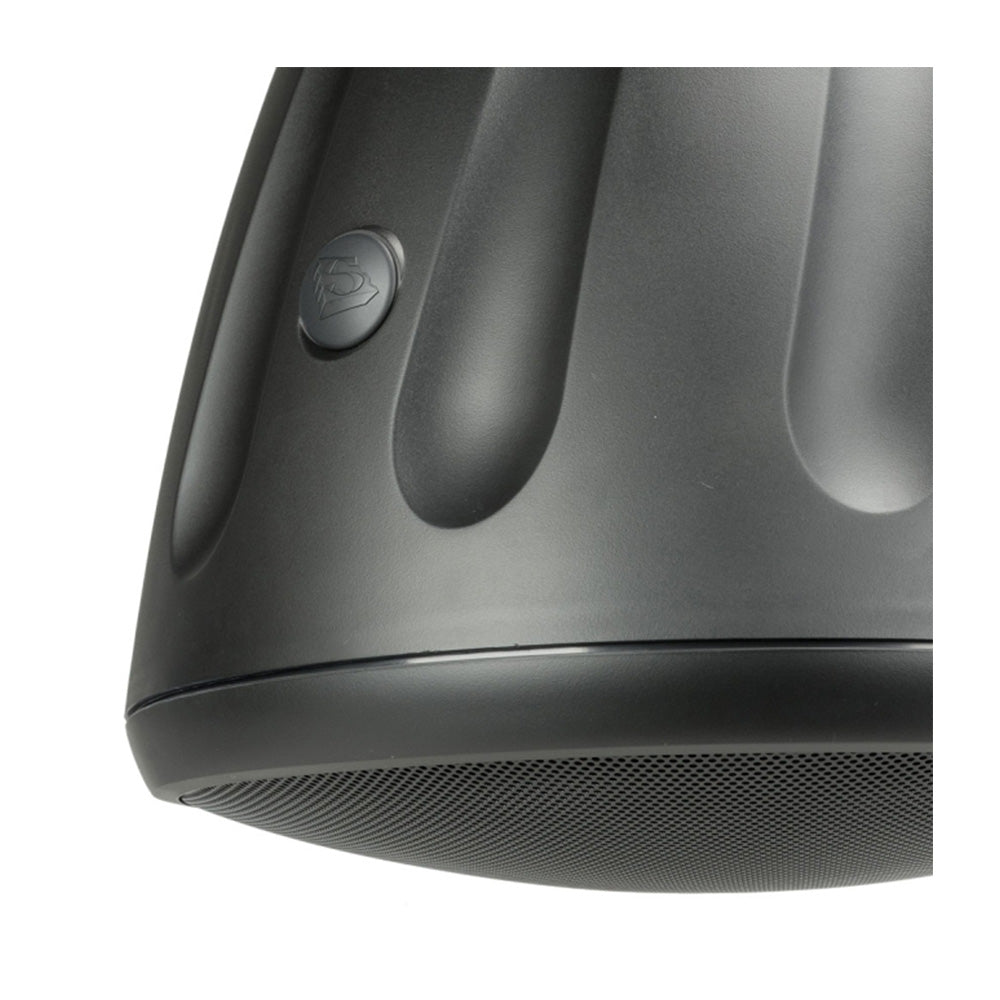 Soundtube HP1290i-BK - Two-Way 12-Inch Hanging Loudspeaker (Black)