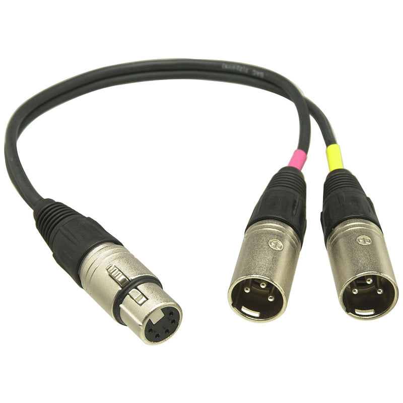 Sennheiser ACS 5 - 5-Pin XLR to Dual 3-Pin XLR Adapter Cable (6 Inch)