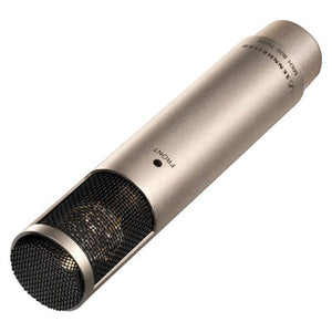 Sennheiser MKH-800 TWIN Large Diaphragm Condenser Microphone (Nickel)