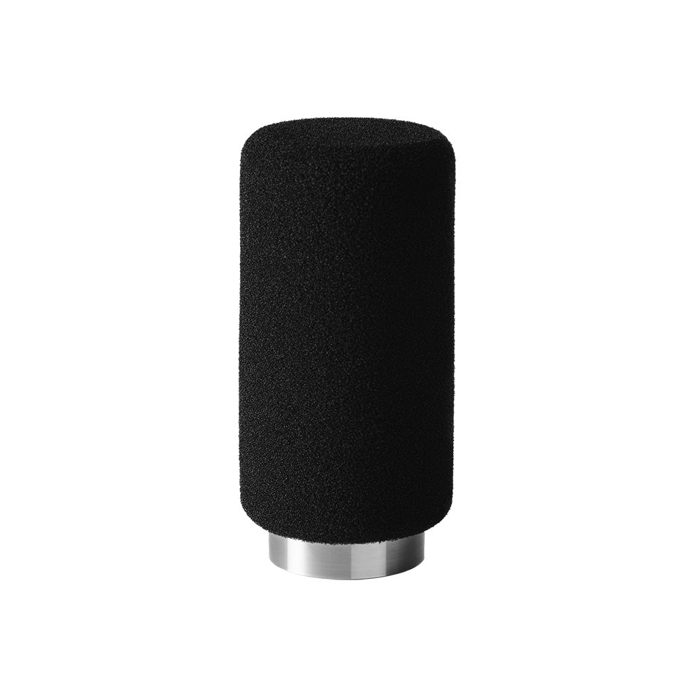 Earthworks ETHOS - Broadcast or Streaming Microphone (Stainless Steel Finish)