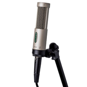 Royer R-10 Studio/Live Passive Ribbon Microphone