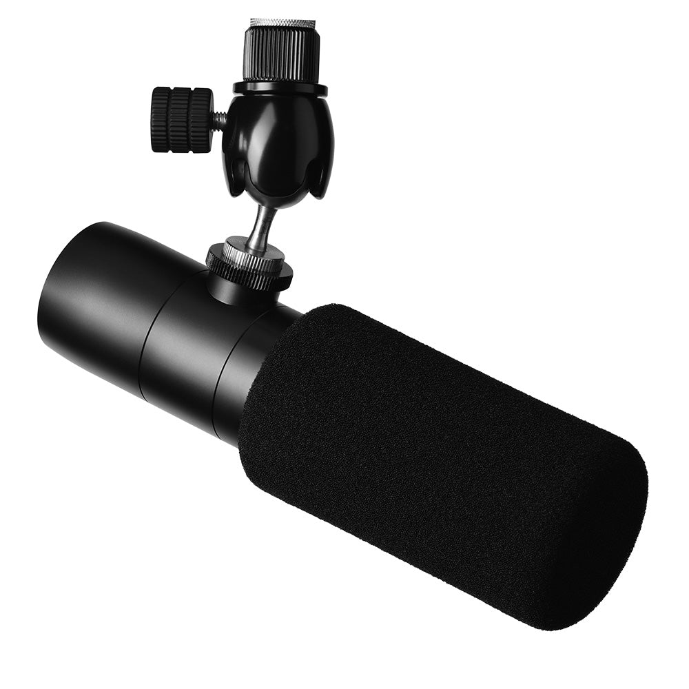 Earthworks ETHOS - Broadcast or Streaming Microphone (Matte Black Finish)
