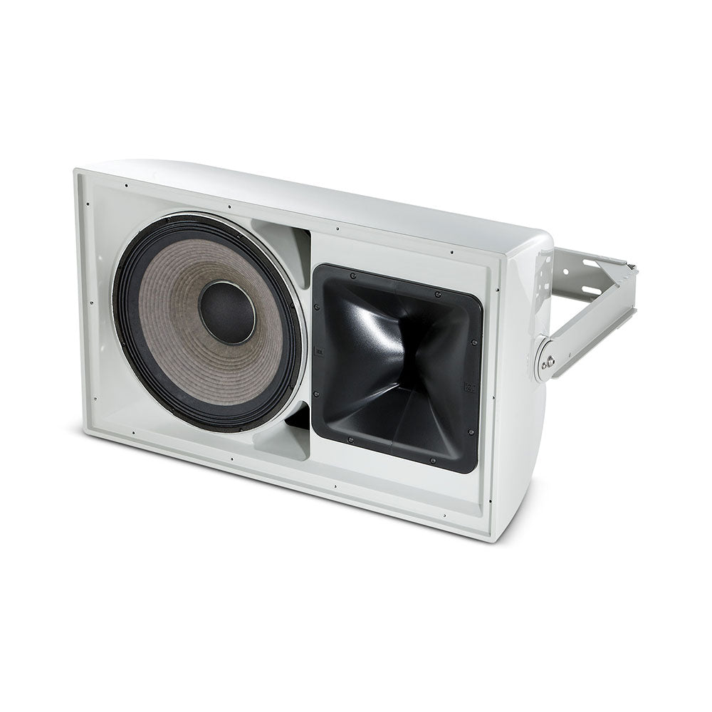JBL AW566 - All-Weather High-Output 15-Inch Install Speaker (Gray)