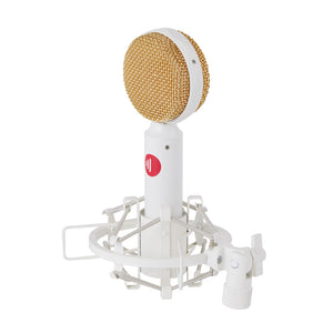 Direct Sound DS-65 - Large Diaphragm Condenser Microphone