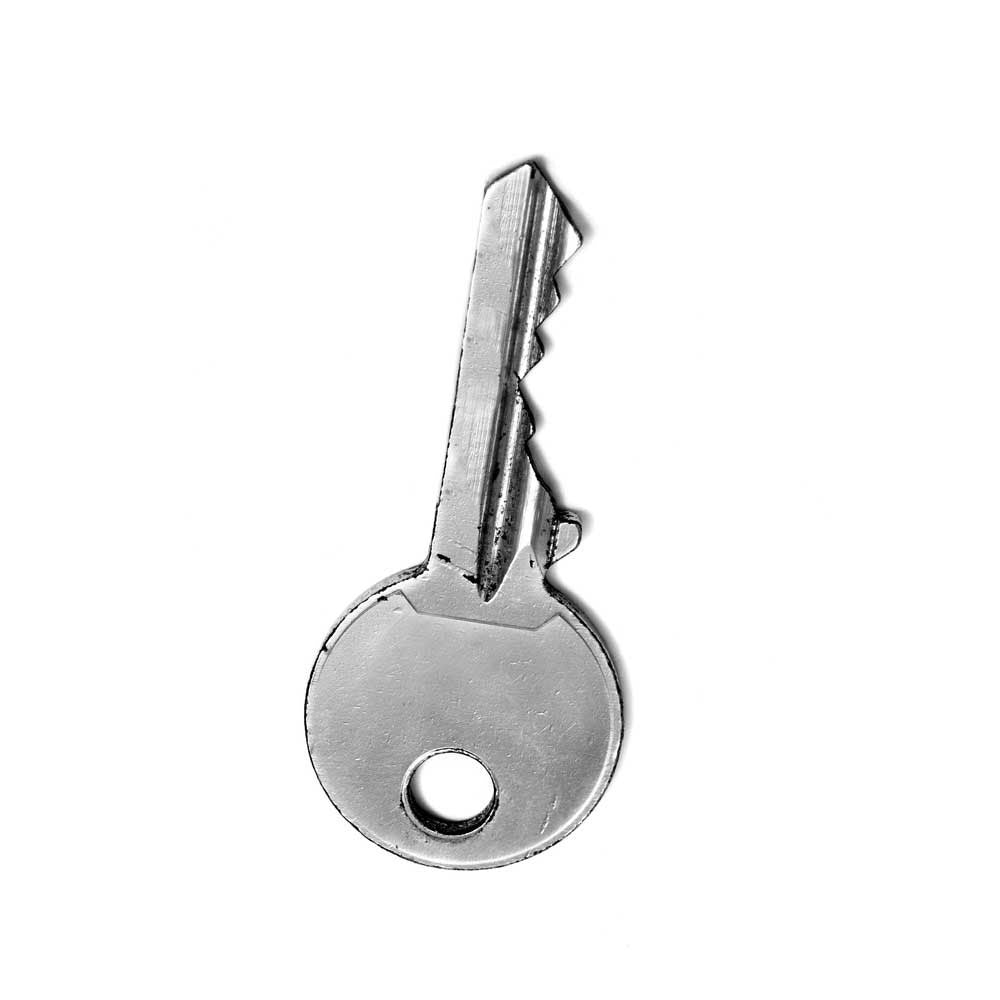 Furman 986001-1429 - Replacement Key for Furman Power Sequencers (Code 208)