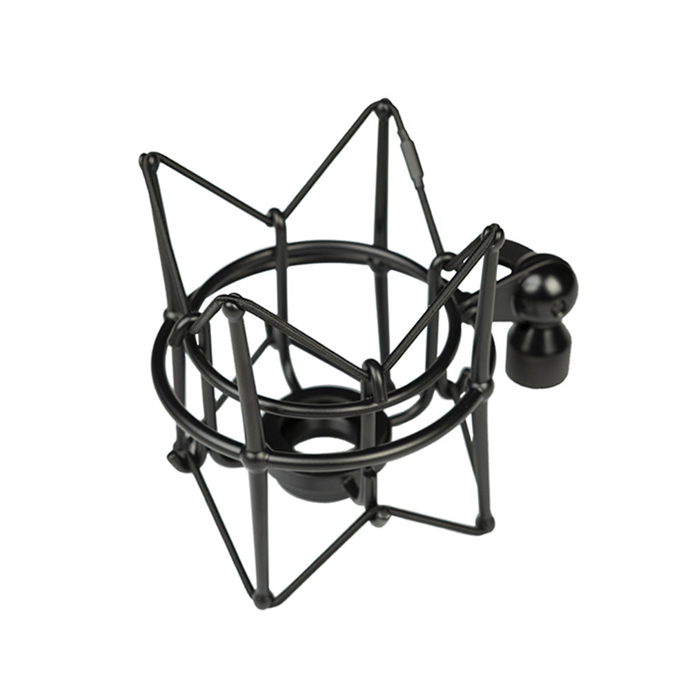Direct Sound DS-60 - Large Diaphragm Condenser Microphone