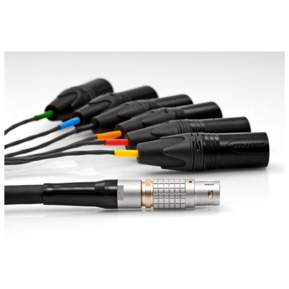 DPA Microphones 5100 - Mobile 5.1 Surround Sound Microphone