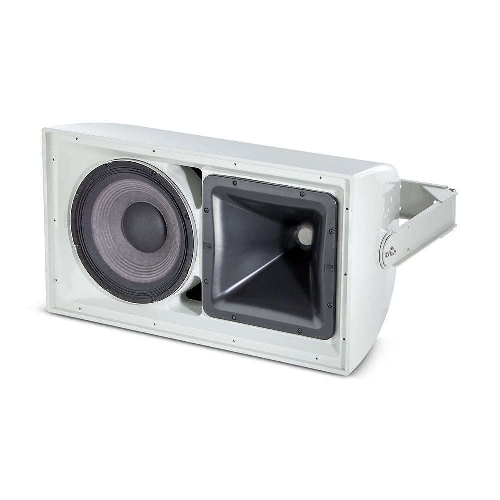 JBL AW266-LS - All-Weather High-Output 12-Inch Install Speaker for Life Safety Applications (Gray)