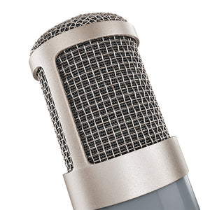 Universal Audio UA Bock 167 - Large-Diaphragm Tube Condenser Microphone